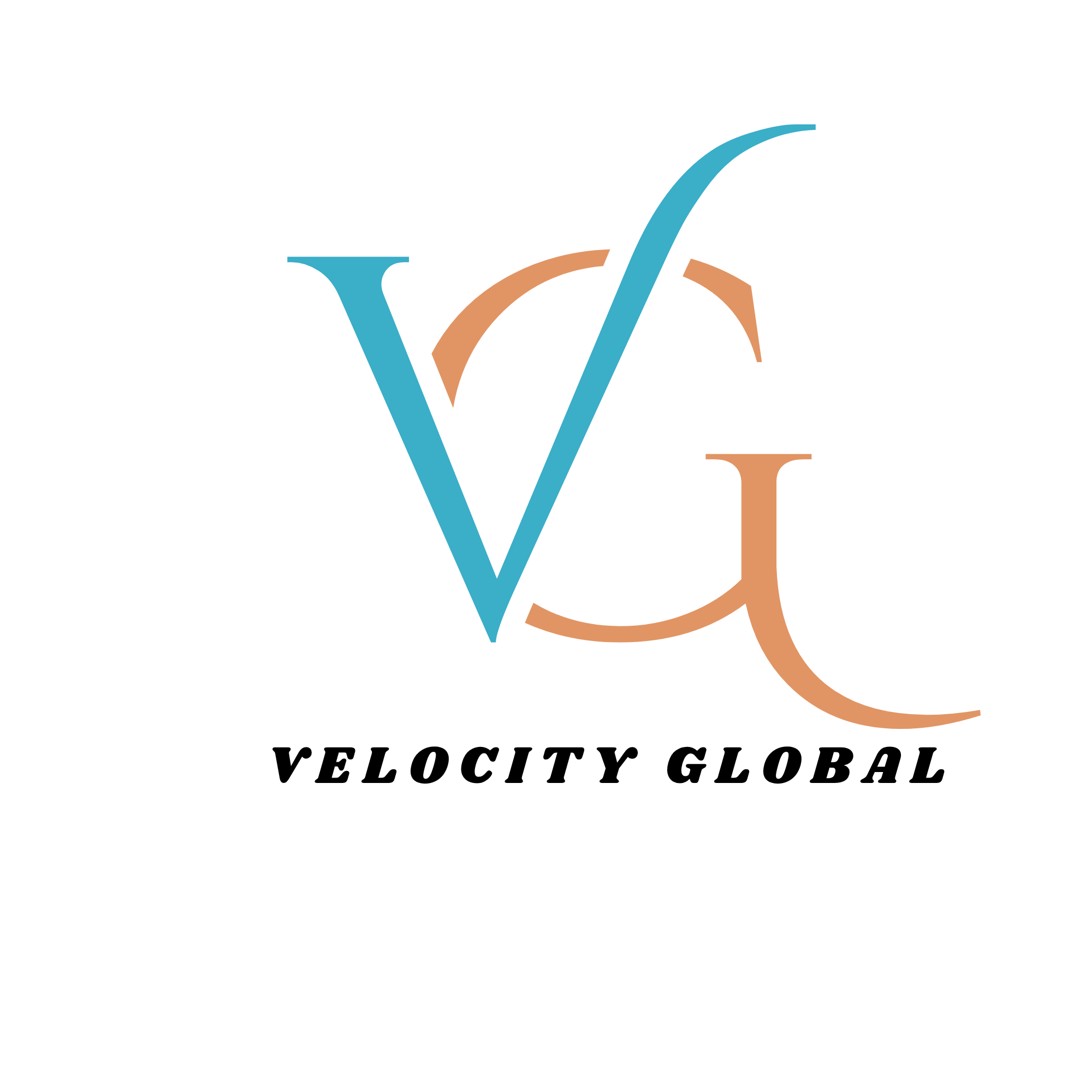 Velocity Global Logo