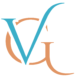 velocity global official logo